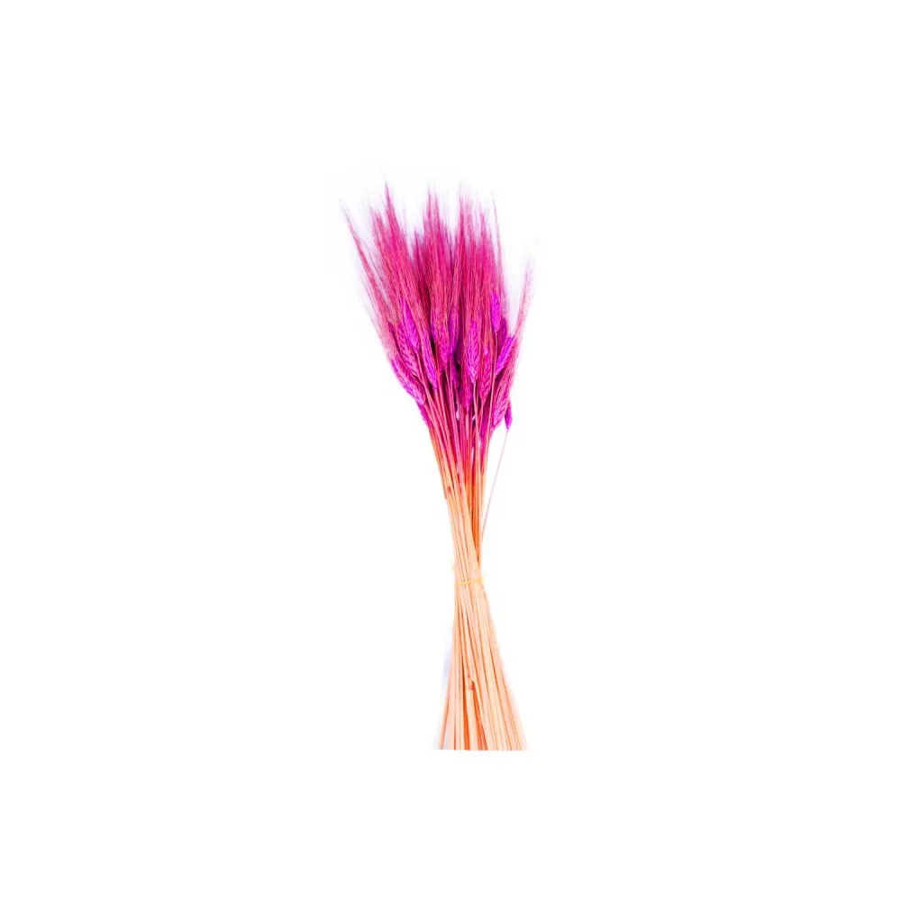 Kuru Çiçek Doğal Başak Buğday Başağı 45 CM - 1 Demet Fuşya